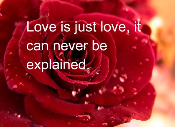 Best Valentine Quotes (8)